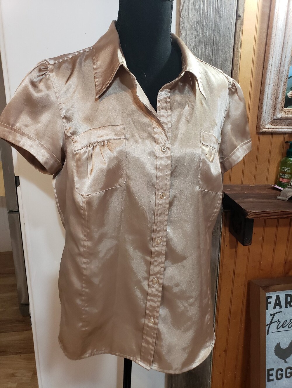 Satin Champagn Short Cap Sleeve Button Up Collar Large Y2k 90s
